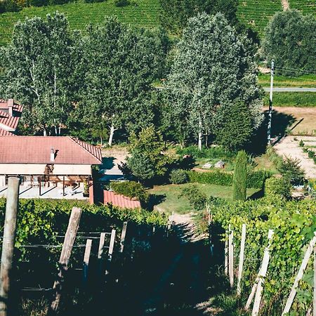 Agriturismo Dacapo Альяно-Терме Экстерьер фото